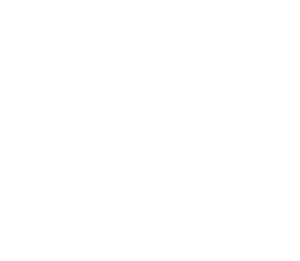 sealegacy-logo